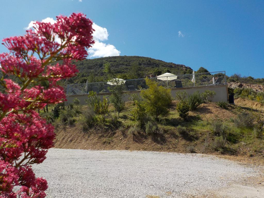 Appartements Candella غاليريا المظهر الخارجي الصورة